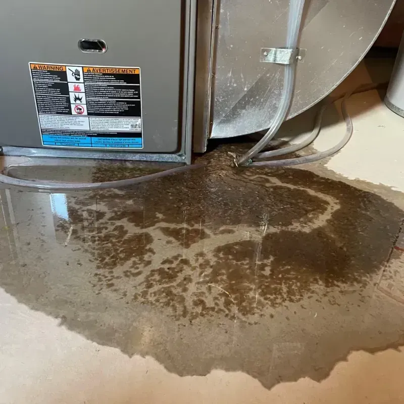 Appliance Leak Cleanup in Saratoga Springs, UT